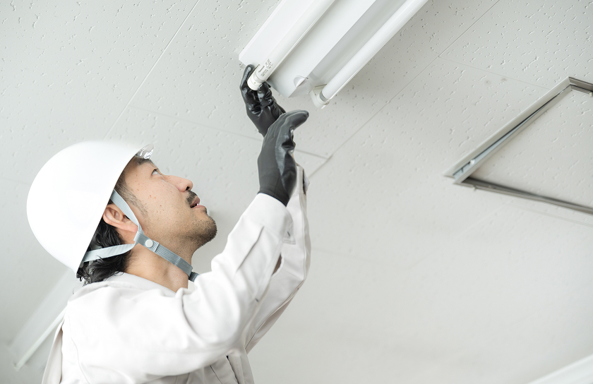 現地調査の様子